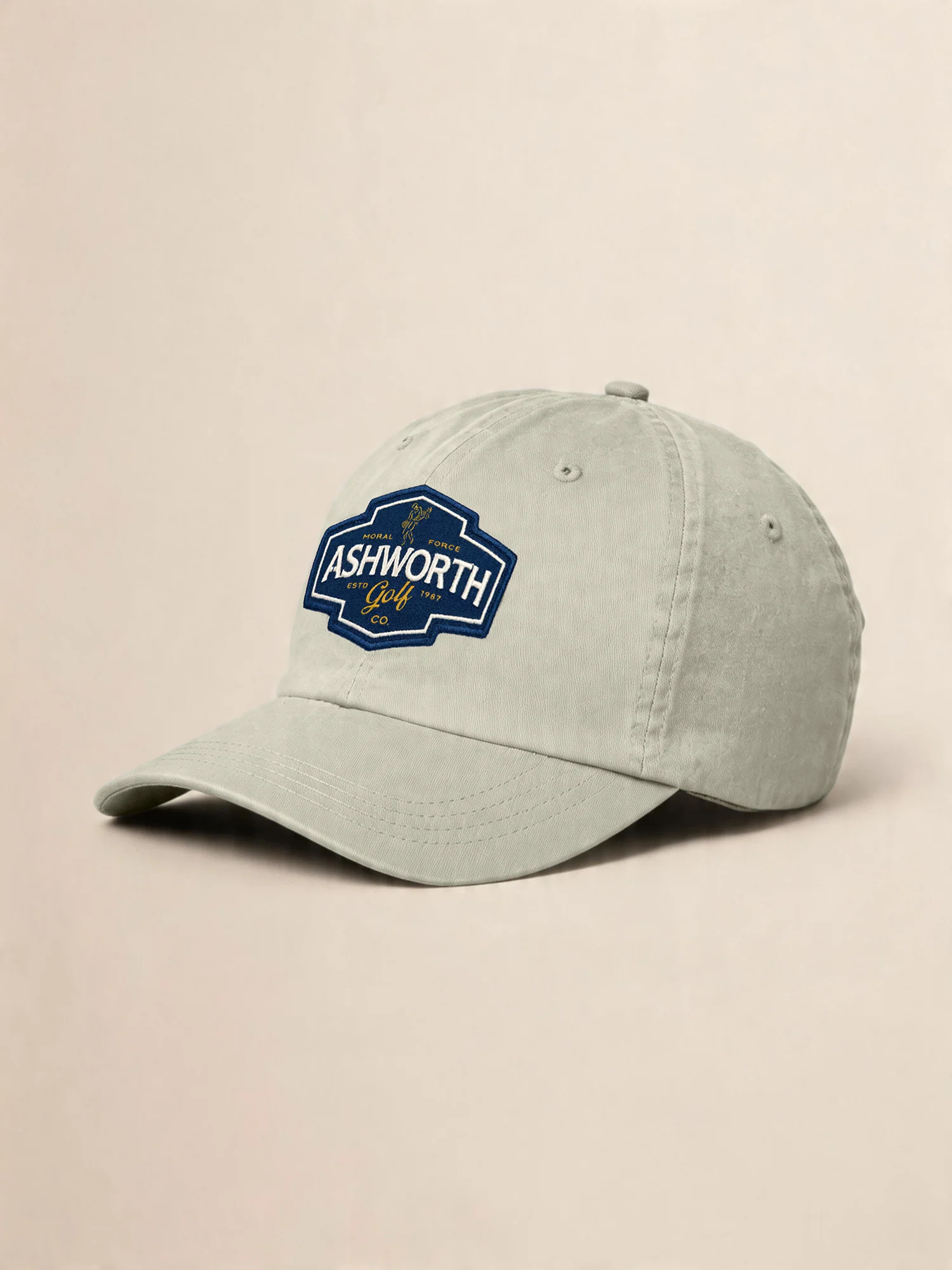 AGC Moral Force Cap