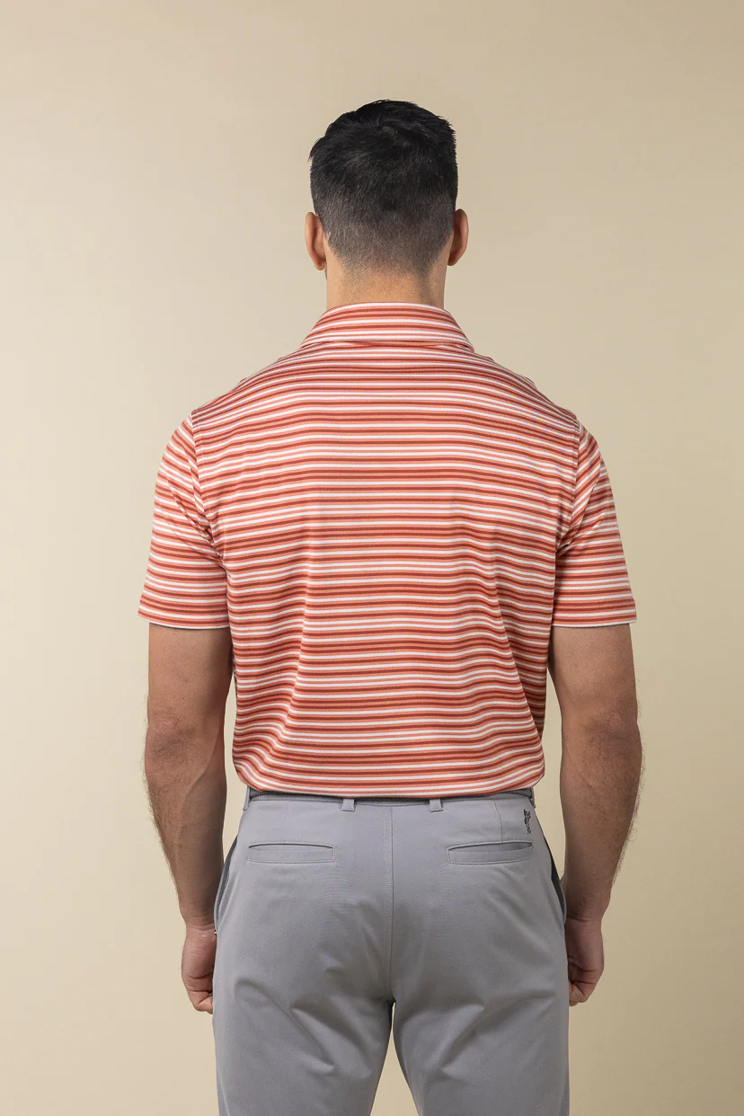 Grandview Polo - Image 5