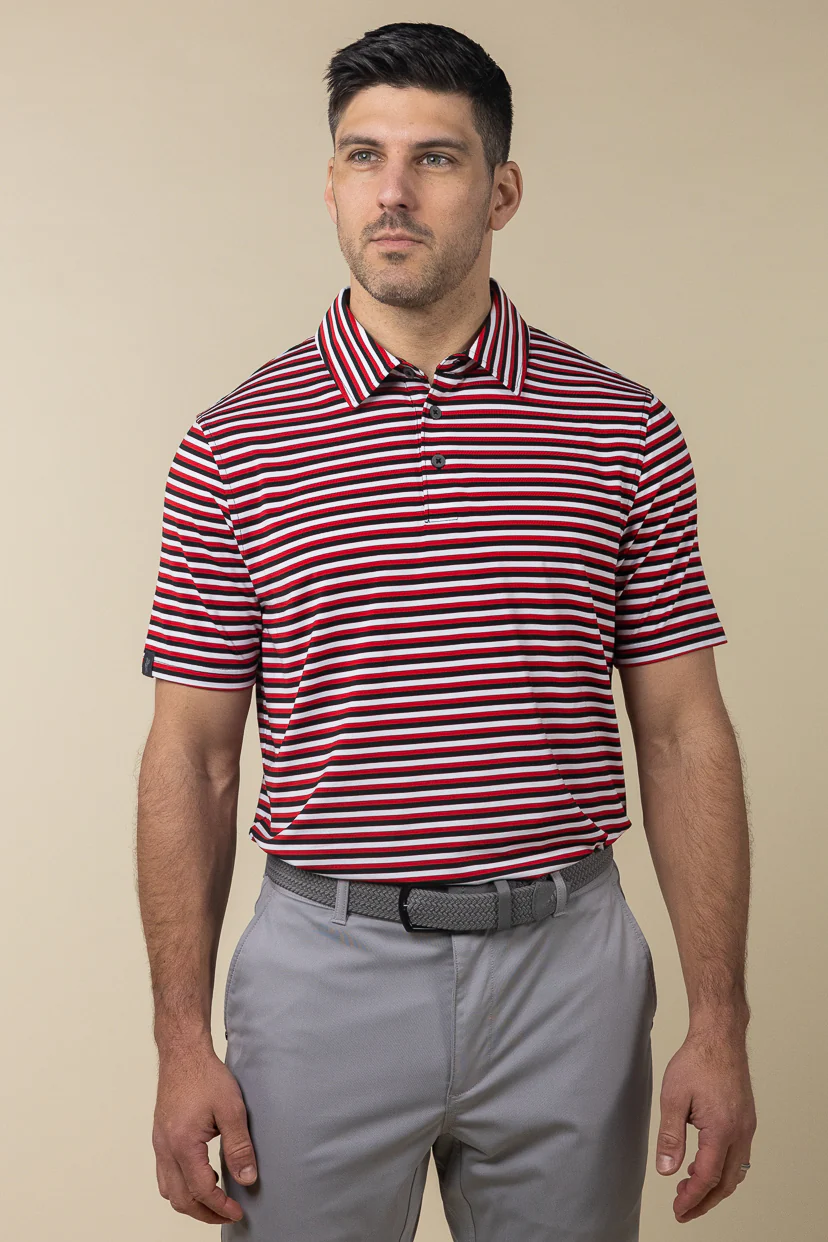 Ivy Stripe Polo - Image 3