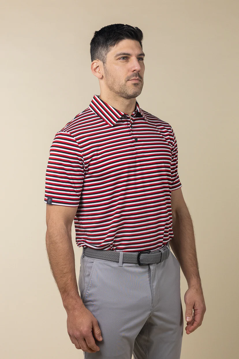 Ivy Stripe Polo - Image 4