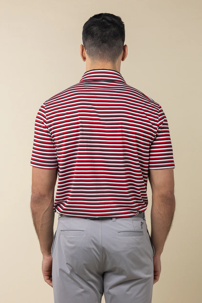 Ivy Stripe Polo - Image 5